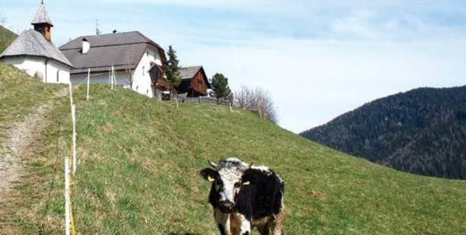 Hotel Berggasthof Trattes Olang Zewnętrze zdjęcie